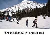 mount-ranier